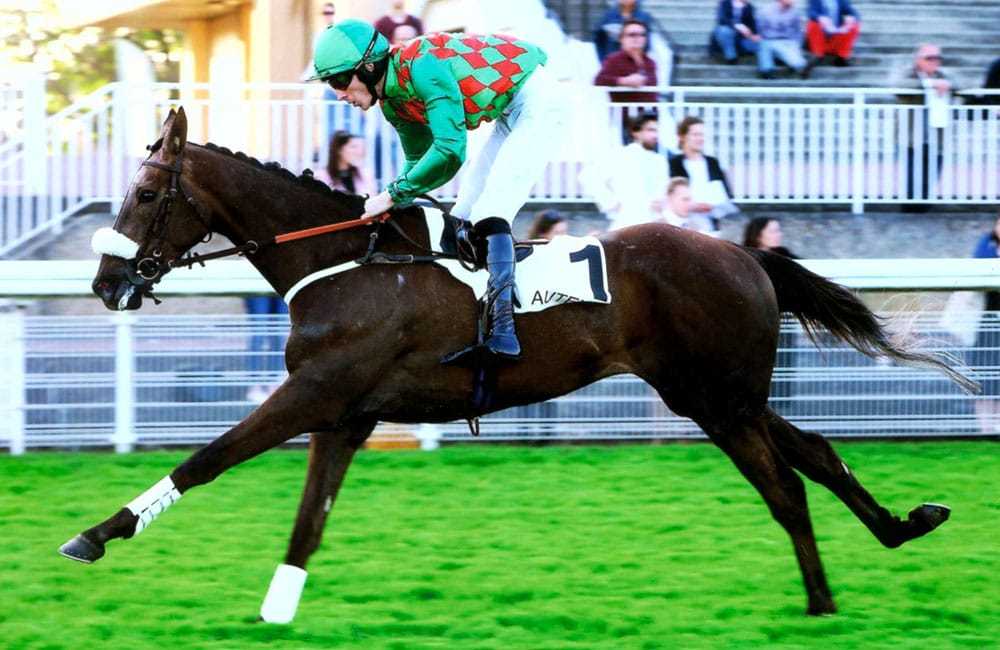 Auteuil - Prix Champaubert - 2017