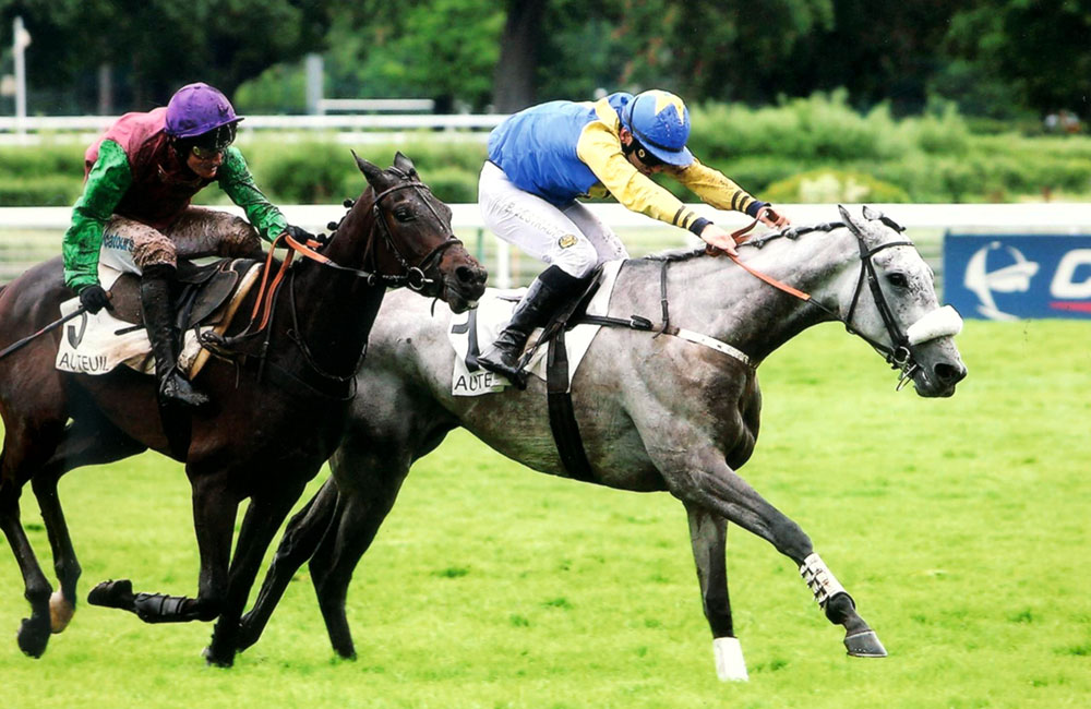 Auteuil - Prix Ferdinand Dufaure - 2016