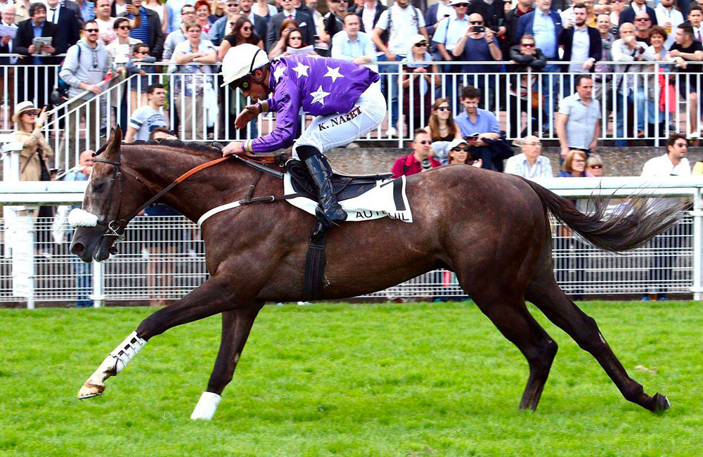 Auteuil - Prix Stanley - 2017