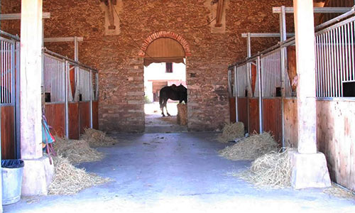 Box Haras de Montgermont