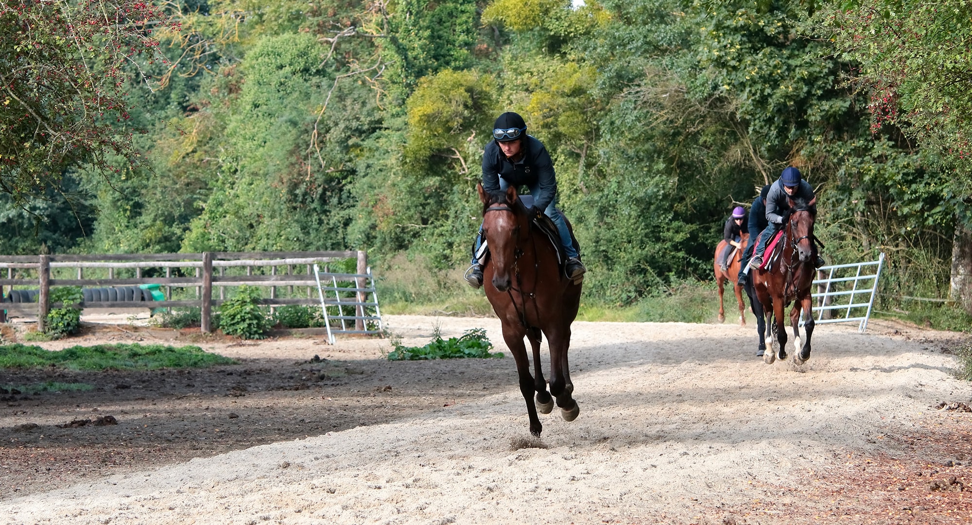 Entrainement de chevaux de courses - Haras de Montgermont