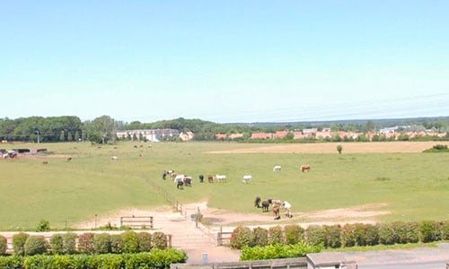 Pré Haras de Montgermont