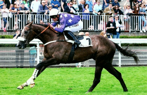 Auteuil - Prix Stanley - 2017