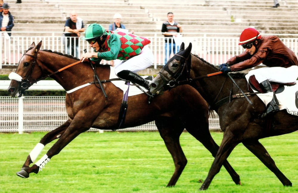 Prix Aguado - Auteuil - 2017