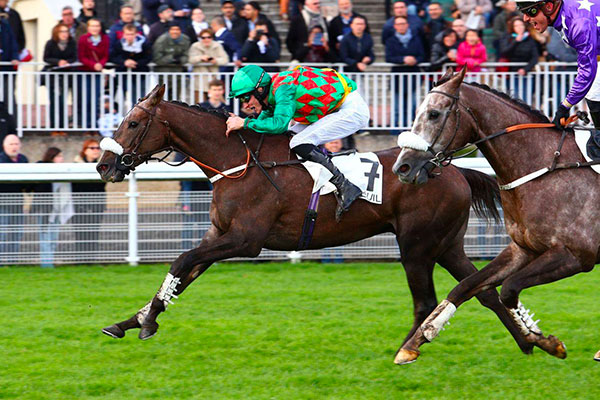 Auteuil - Prix Cambaceres - 2017